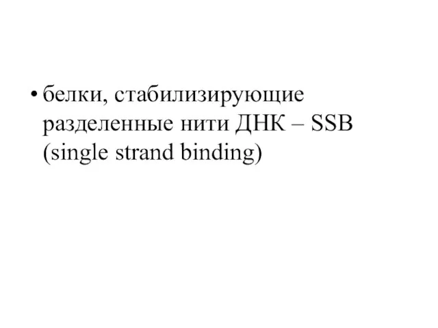 белки, стабилизирующие разделенные нити ДНК – SSB (single strand binding)