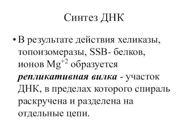 Синтез ДНК В результате действия хеликазы, топоизомеразы, SSB- белков, ионов Mg+2