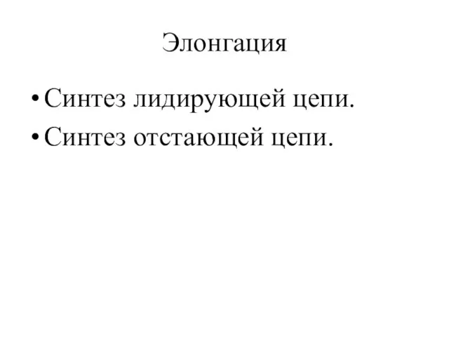 Элонгация Синтез лидирующей цепи. Синтез отстающей цепи.