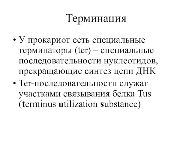 Терминация У прокариот есть специальные терминаторы (ter) – специальные последовательности нуклеотидов,