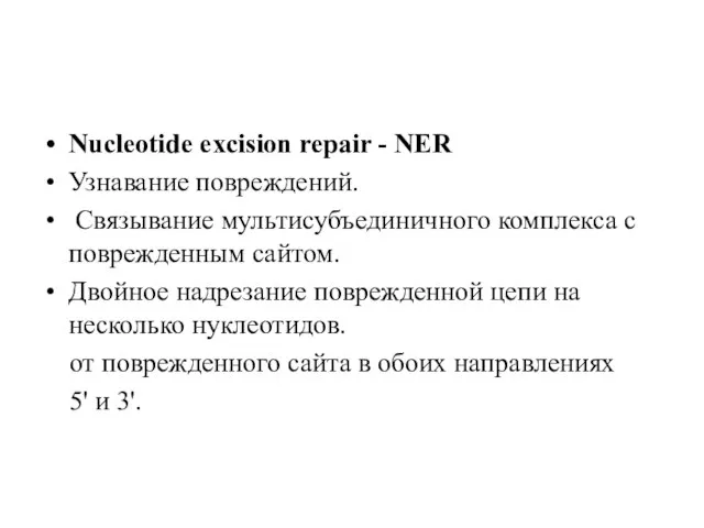 Nucleotide excision repair - NER Узнавание повреждений. Связывание мультисубъединичного комплекса с