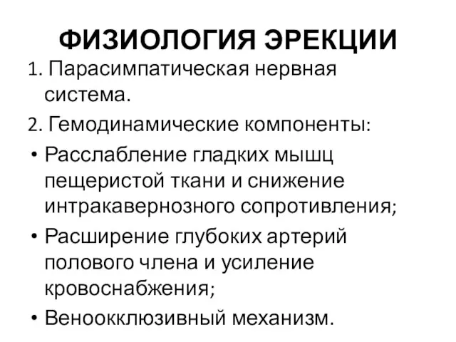 ФИЗИОЛОГИЯ ЭРЕКЦИИ 1. Парасимпатическая нервная система. 2. Гемодинамические компоненты: Расслабление гладких