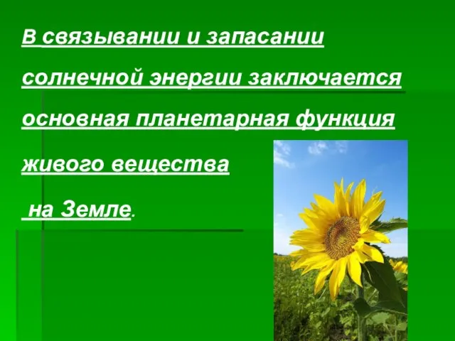 В связывании и запасании солнечной энергии заключается основная планетарная функция живого вещества на Земле.