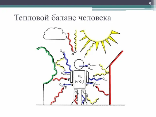 Тепловой баланс человека