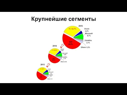 Крупнейшие сегменты