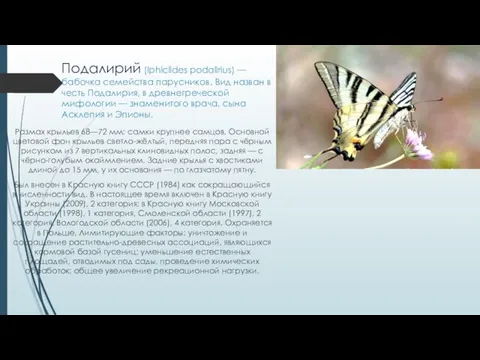 Подалирий (Iphiclides podalirius) — бабочка семейства парусников. Вид назван в честь