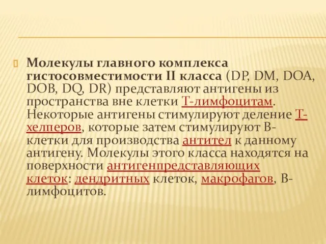 Молекулы главного комплекса гистосовместимости II класса (DP, DM, DOA, DOB, DQ,