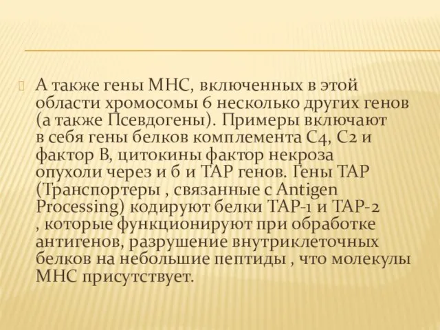 А также гены МНС, включенных в этой области хромосомы 6 несколько