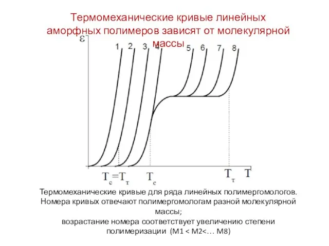 Термомеханические кривые для ряда линейных полимергомологов. Номера кривых отвечают полимергомологам разной