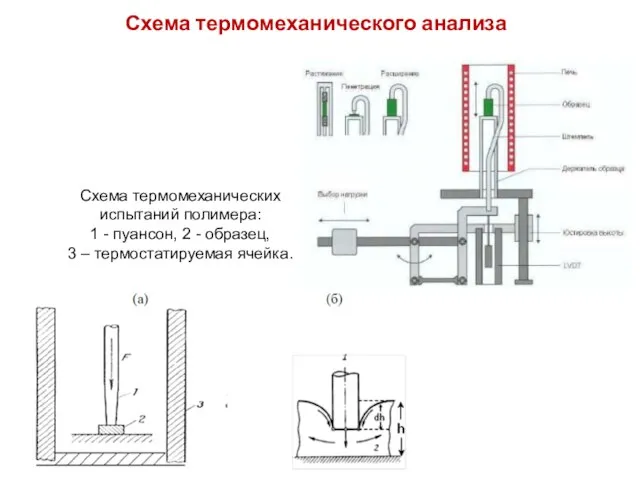 Схема термомеханического анализа Схема термомеханических испытаний полимера: 1 - пуансон, 2