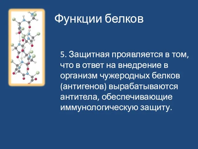 Функции белков 5. Защитная проявляется в том, что в ответ на