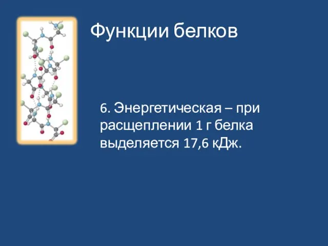 Функции белков 6. Энергетическая – при расщеплении 1 г белка выделяется 17,6 кДж.