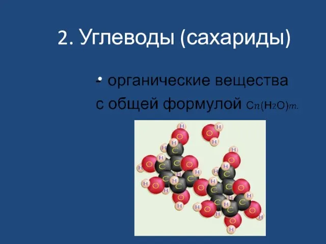 2. Углеводы (сахариды)