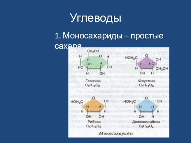 Углеводы 1. Моносахариды – простые сахара