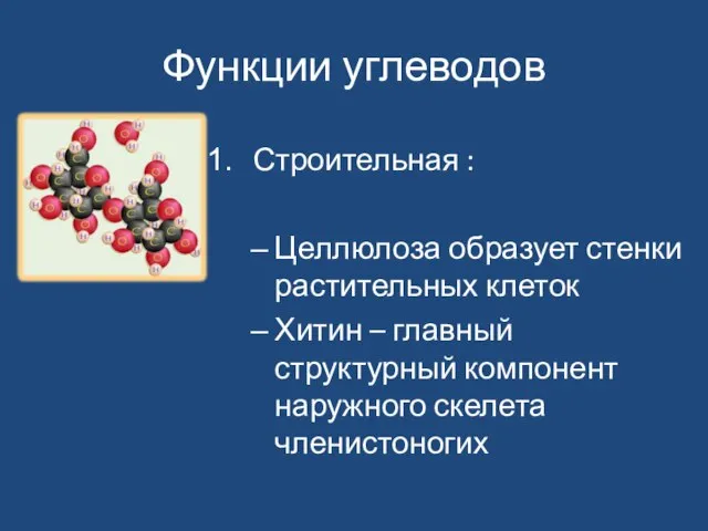 Функции углеводов Строительная : Целлюлоза образует стенки растительных клеток Хитин –