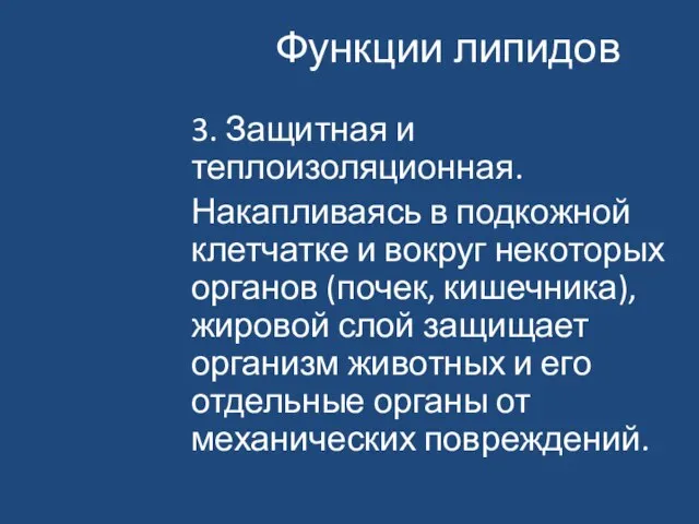 Функции липидов 3. Защитная и теплоизоляционная. Накапливаясь в подкожной клетчатке и