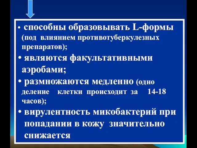 способны образовывать L-формы (под влиянием противотуберкулезных препаратов); являются факультативными аэробами; размножаются