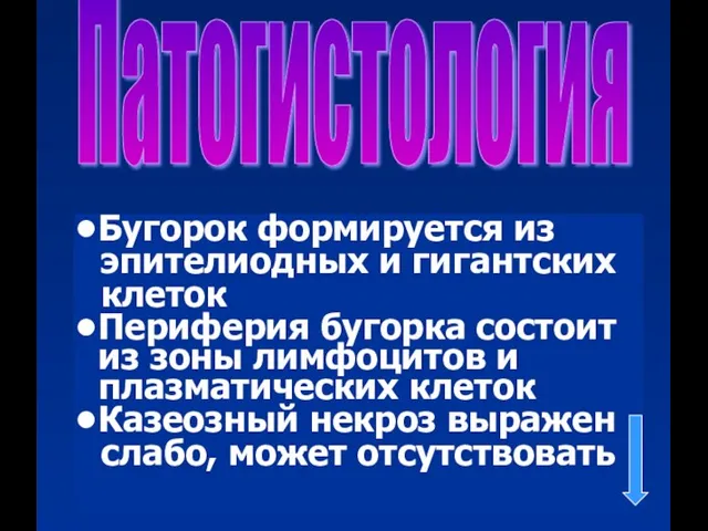 Патогистология Бугорок формируется из эпителиодных и гигантских клеток Периферия бугорка состоит