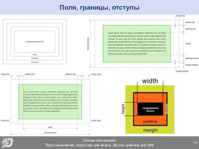 Поля, границы, отступы