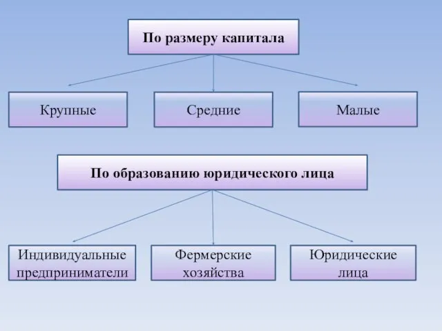 По размеру капитала Средние Малые Крупные По образованию юридического лица Юридические лица Фермерские хозяйства Индивидуальные предприниматели