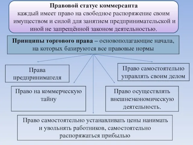 Правовой статус коммерсанта каждый имеет право на свободное распоряжение своим имуществом