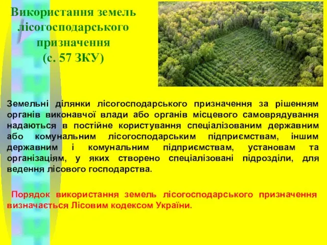 Використання земель лісогосподарського призначення (с. 57 ЗКУ) Земельні ділянки лісогосподарського призначення