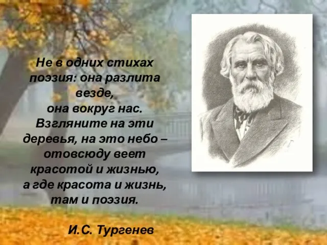 Не в одних стихах поэзия: она разлита везде, она вокруг нас.