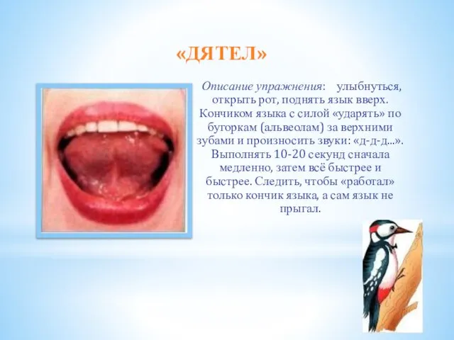 «ДЯТЕЛ» Описание упражнения: улыбнуться, открыть рот, поднять язык вверх. Кончиком языка