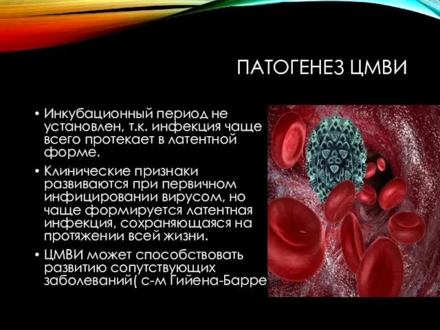 ПАТОГЕНЕЗ ЦМВИ Инкубационный период не установлен, т.к. инфекция чаще всего протекает