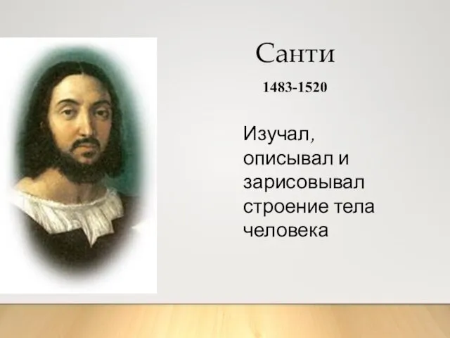 Санти 1483-1520 Изучал, описывал и зарисовывал строение тела человека