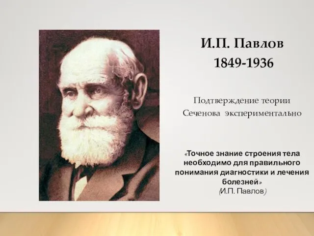 Подтверждение теории Сеченова экспериментально И.П. Павлов 1849-1936 «Точное знание строения тела