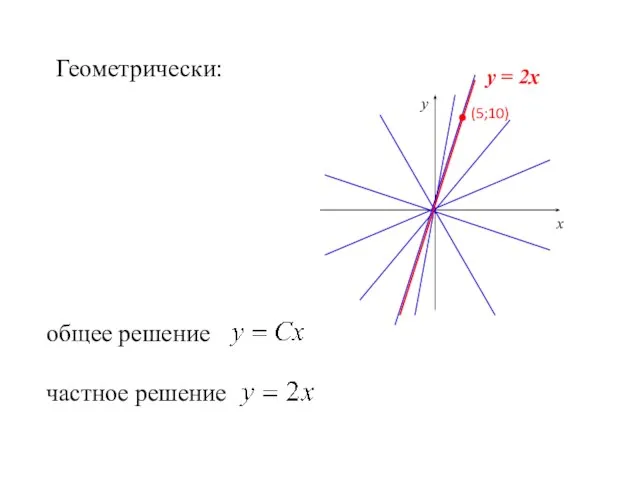 Геометрически: х у общее решение частное решение у = 2х (5;10)