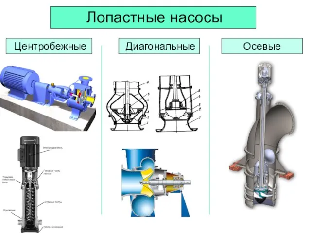 Лопастные насосы Центробежные Диагональные Осевые