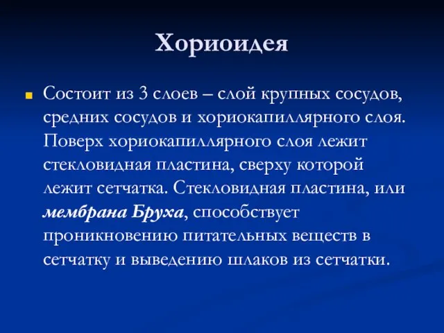 Хориоидея Состоит из 3 слоев – слой крупных сосудов, средних сосудов