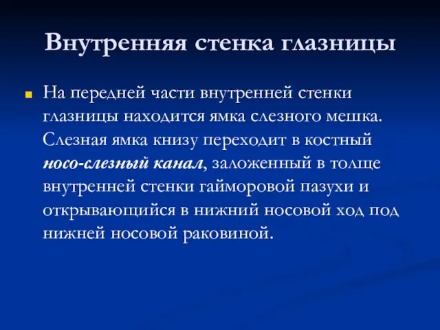 Внутренняя стенка глазницы На передней части внутренней стенки глазницы находится ямка