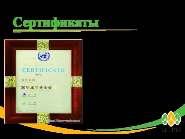 Сертификат ООН «Лучшее предприятие по международной защите экологии» (2001) Сертификаты