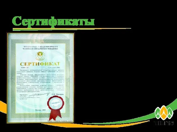 Сертификат Российской Международной Академии Проблем Человека в Авиации и Космонавтике. Сертификаты