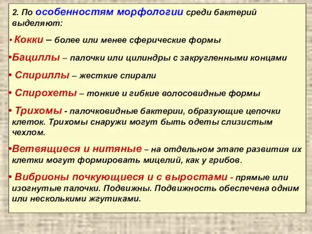 2. По особенностям морфологии среди бактерий выделяют: Кокки – более или