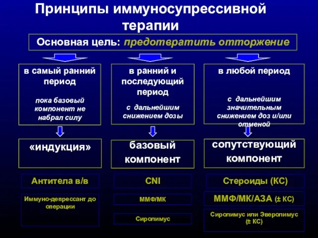 Принципы иммуносупрессивной терапии «индукция» базовый компонент сопутствующий компонент Антитела в/в Основная