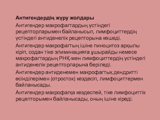 Антигендердің жүру жолдары Антигендер макрофагтардың үстіндегі рецепторларымен байла­нысып, лимфоциттердің үстіндегі антиденелік