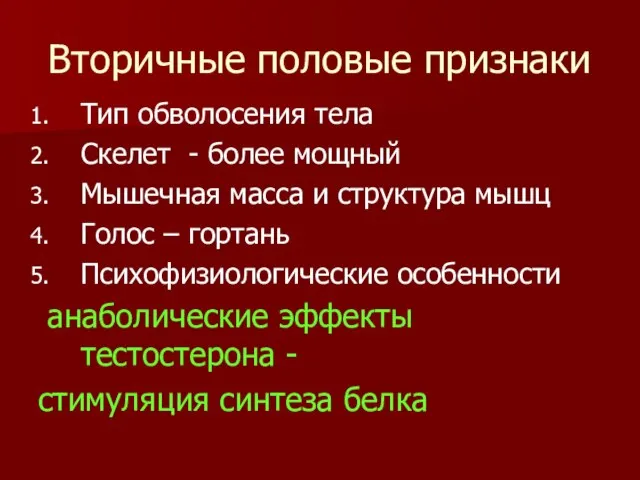 Вторичные половые признаки Тип обволосения тела Скелет - более мощный Мышечная