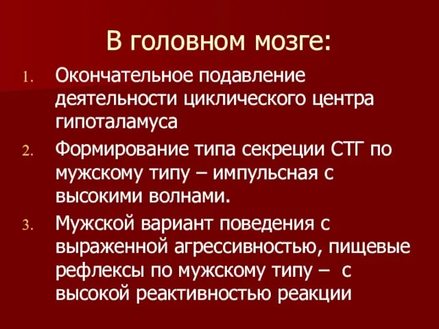 В головном мозге: Окончательное подавление деятельности циклического центра гипоталамуса Формирование типа