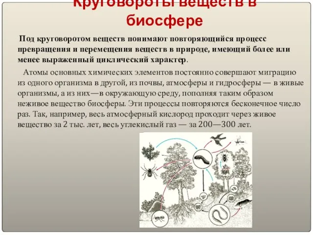 Круговороты веществ в биосфере Под круговоротом веществ понимают повторяющийся процесс превращения