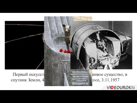 Первый искусственный спутник Земли, 4.10.1957 Первое живое существо, в космосе, 3.11.1957