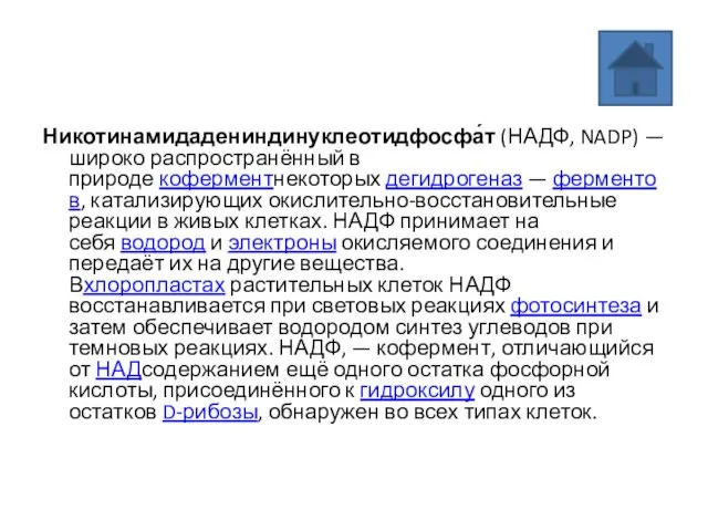 Никотинамидадениндинуклеотидфосфа́т (НАДФ, NADP) — широко распространённый в природе коферментнекоторых дегидрогеназ —