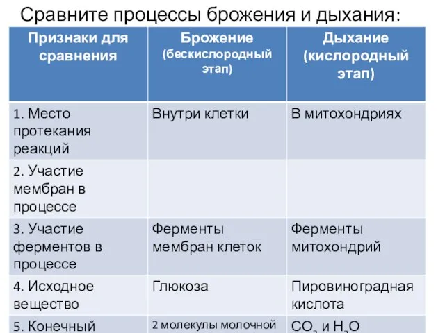 Сравните процессы брожения и дыхания: