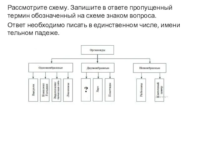 Рассмотрите схему. Запишите в ответе пропущенный термин обозначенный на схеме знаком