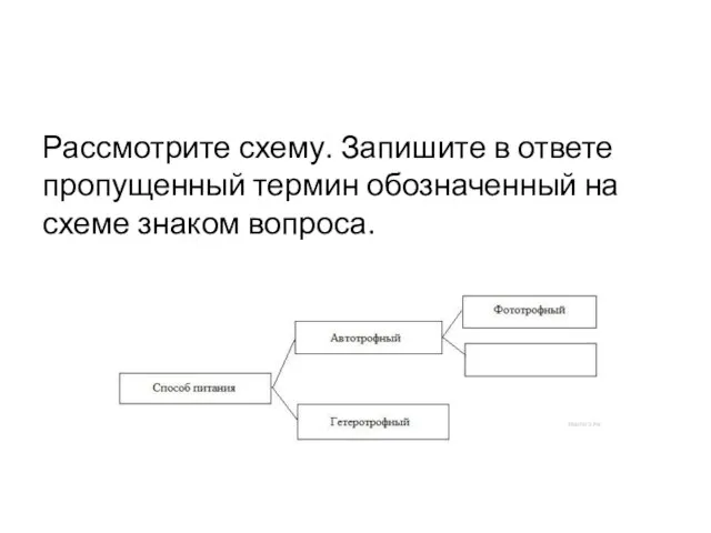 Рассмотрите схему. Запишите в ответе пропущенный термин обозначенный на схеме знаком вопроса.