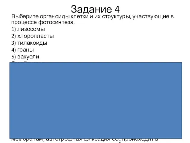 Задание 4 Выберите ор­га­но­и­ды клет­ки и их структуры, участ­ву­ю­щие в про­цес­се