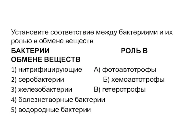 Установите соответствие между бактериями и их ролью в обмене веществ БАКТЕРИИ